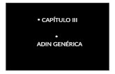 CAPÍTULO III ADIN GENÉRICA