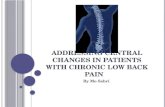Addressing Central Changes in Patients with Chronic Low Back Pain