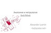 Анатомия и метрология DoS /DDoS