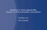 Stability of hole doped BNs  based  on first principles calculation