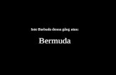 Inte Barbuda denna gång utan: Bermuda