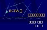 ECFA ：  一個區域經濟議題
