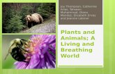 Plants and  Animals; A Living  and Breathing World