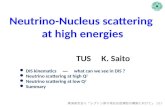 Neutrino-Nucleus scattering  at high energies TUS     K. Saito