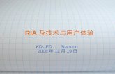 RIA 及技术与用户体验