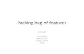 Packing bag-of-features