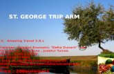 St. George trip arm
