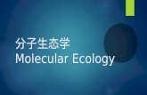 分子 生态学 Molecular Ecology