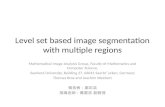 Level set based image segmentation with multiple regions