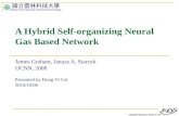 A Hybrid Self-organizing Neural Gas Based Network
