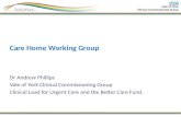 Care Home Working Group