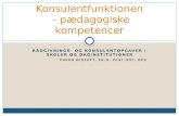 Konsulentfunktionen  - pædagogiske kompetencer