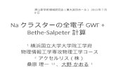 Na クラスターの全電子 GW Γ  + Bethe- Salpeter 計算