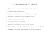 TD1: homéostasie du glucose