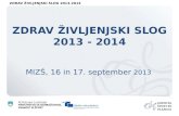 ZDRAV ŽIVLJENJSKI SLOG 2013 - 2014 MIZŠ, 16 in 17. september  2013