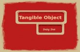 Tangible Object