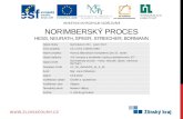Norimberský  proces Hess,  Neurath ,  Speer ,  Streicher ,  Bormann