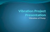 Vibration Project Presentation