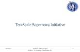 TeraScale Supernova Initiative