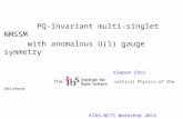 PQ-invariant multi-singlet NMSSM      with anomalous U(1) gauge symmetry Kiwoon  Choi