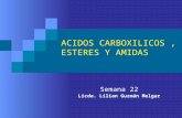 ACIDOS CARBOXILICOS , ESTERES Y AMIDAS