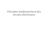 Principes fondamentaux  des circuits  électriques