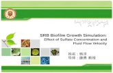 SRB Biofilm Growth Simulation:  Effect of Sulfate Concentration and Fluid Flow Velocity