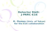 Detector R&D:  J-PARC-E16