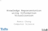 Knowledge Representation using Information Visualization