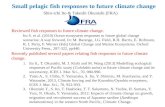 Small pelagic fish responses to future climate  change