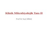 Klinik Mikrobiyolojik  Tanı-II