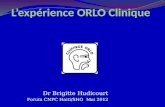 L’expérience  ORLO Clinique