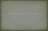 Australian Shovelers
