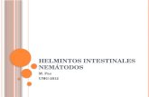 HELMINTOS INTESTINALES NEMÁTODOS