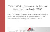 Telencéfalo , Sistema Límbico e Vascularização do SNC