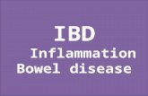 IBD Inflammation Bowel disease