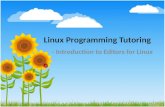 Linux Programming Tutoring