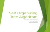Self Organizing Tree Algorithm