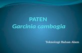 PATEN  Garcinia cambogia