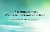 什么是基督徒的使命？ What is the mission of a Christian?