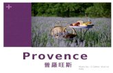 Provence  普羅旺斯