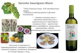 Secret o Sauvignon Blanc