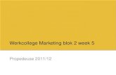 Werkcollege Marketing  blok  2  week  5
