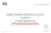 Safety Related Electronic Control  Systems in  Gas  Appliances 燃气用具电控系统的安全性