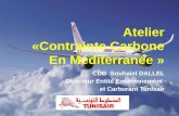 Atelier  «Contrainte Carbone En Méditerranée »