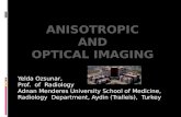 ANISOTROPIC AND OPTICAL IMAGING