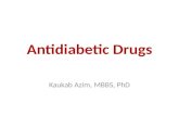 Antidiabetic  Drugs