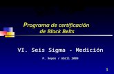 P rograma de certificación  de Black  Belts