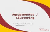 Agrupamentos / Clustering