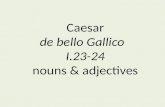 Caesar de  bello Gallico I.23-24 nouns & adjectives